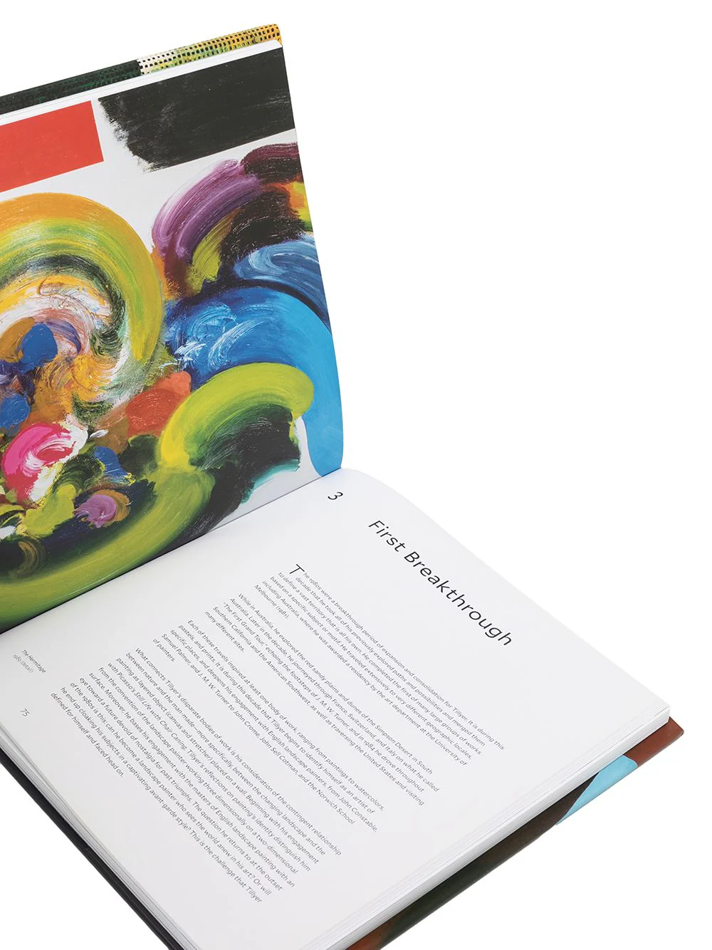 William Tillyer A Retrospective Book - Image 3