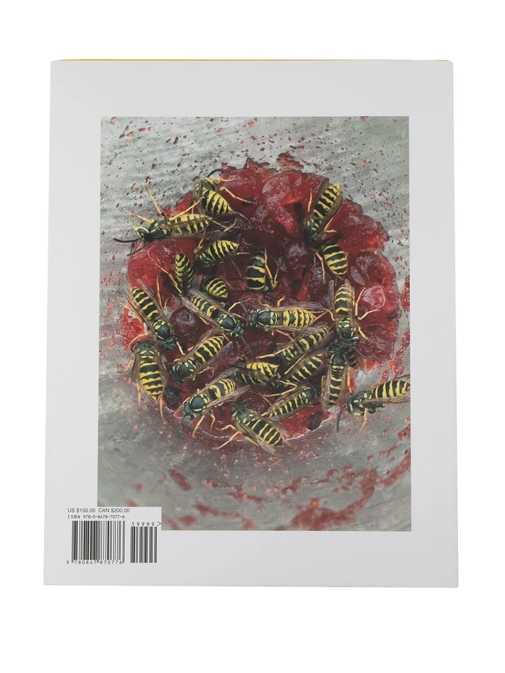 Juergen Teller: Donkey Man And Other Stories Book - Image 4