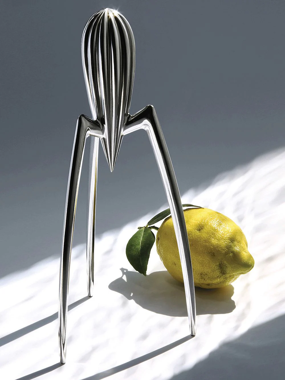 Salif Citrus Squeezer - Image 2